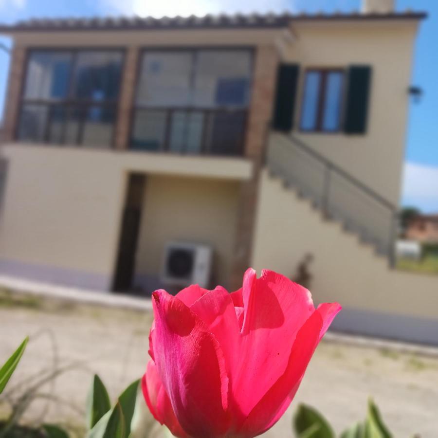 Casa Di Zio Villa Monticiano Kültér fotó